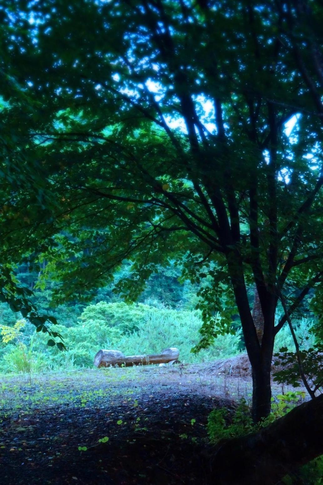 Sannouzan Onsen Zuisenkyo Ξενοδοχείο Ichinoseki Εξωτερικό φωτογραφία